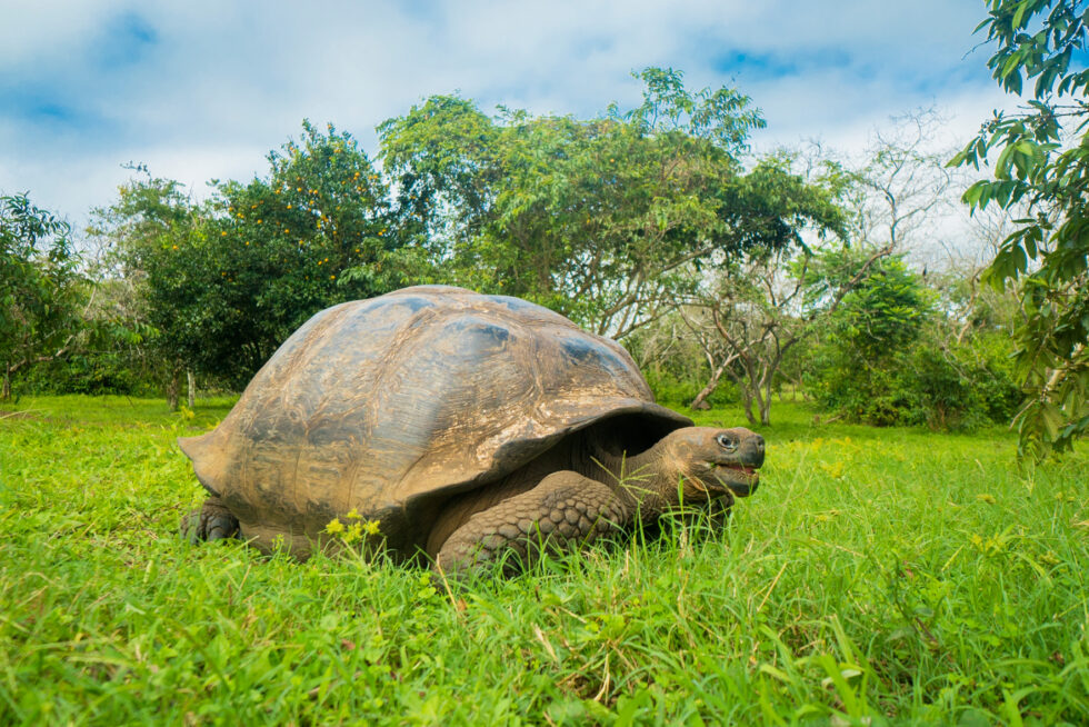 A Paradise Beyond Imagination: Exploring the Galapagos Islands on a ...